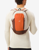 Туристичний Рюкзак QUECHUA Arpenaz 10л 40 х 22 х 15 см Коричневий - зображення 6