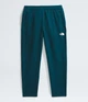 Брюки мужские The North Face Tekware™ Grid Pants M Синій NF0A84F14H0 - изображение 3