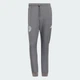 Мужские спортивные брюки MERCEDES - AMG PETRONAS FORMULA 1 TEAM SILVER ARROWS ICON MEN adidas KR3571 (2XL) серый (4068819597629) - изображение 6