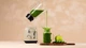 Blender Cecotec Power Black Titanium RetroGreen (3919) - obraz 5