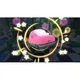 Игра Nintendo Kirby Forgotten Land, картридж (Switch 2) (0045496312930) - изображение 3