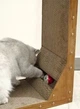 Угловая когтеточка для котов Purlov 22008 с шариком (2в1) - изображение 10