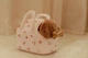 Maskotka Little Dutch Piesek Jackie w torbie (LD4518) (8713291445185) - obraz 15