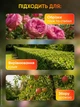 Секатор садовый аккумуляторный электрический кусторез портативный электросекатор на аккумуляторе мощный аккумуляторные садовые ножницы веткорез для обрезки деревьев винограда сада с кейсом в подарок - изображение 3