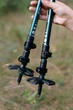 Трекінгові палиці Tribe Trekking Pole Alu алюмінієві, телескопічні 65–135 см, Fast Lock, 2 шт (T-ME-0026-ocean) - зображення 6