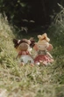 Лялька-фея Little Dutch Міла GRS 35 см (LD4573) (8713291445734) - зображення 10