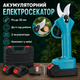 Аккумуляторный секатор садовый в кейсе AN 40-1 + 2 АКБ, Синий / Электросекатор / Аккумуляторные садовые ножницы - изображение 1