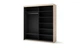 Шкаф-купе Trend TS-01 2д с зеркалом и подсветкой ламинированный ДСП 200х63х222 см бежевый - изображение 2