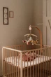 Карусель на ліжечко Little Dutch Fairy Garden Fsc (LD9000) (8713291890008) - зображення 9