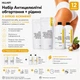 Набор Антицеллюлитные обертывания + жидкость с маслом ксимении Hillary Anti-cellulite African Ximenia (12 процедур) HI-11-475 - изображение 1