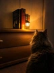 Нічник - світильник для книг | Вуличний ліхтар та затишний декор для полиці | Вставка-нічник на книжкову полицю - зображення 2