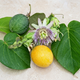 Семена Сладкая гранадила, Passiflora ligularis 5 шт/уп - изображение 6