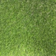 Искусственная трава для декора CCGrass Aman 40 2м. - изображение 2
