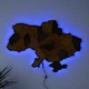 Карта України настінна середня 3D об'ємна англійською з синьою підсвіткою (220В) в коробці 92.5*64.6 см Гранд Презент 12ССАнгл - изображение 2