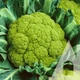 Капуста цветная Мацерата, 0,5 г, Садиба - изображение 3