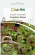Салат листовой Американ Браун, 1 г, Садиба - изображение 1