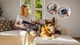 Акумуляторний пилосос Cecotec Rockstar RS90 Pet Flex Detect Conga (A01_EU01_123024) - зображення 7