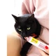 Паста GimCat Every Day Malt-Soft Paste Extra для котів для виведення шерсті зі шлунку 20 г - зображення 6
