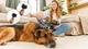 Odkurzacz pionowy Cecotec Rockstar RS80 Pet Flex Detect Conga (A01_EU01_122569) - obraz 9