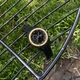 Наручний годинник Sanda 6012 Black-Gold - изображение 4