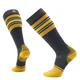 Носки мужские Smartwool Snowboard Targeted Cushion Stripe Extra Stretch OTC, Charcoal, M - изображение 1