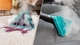 Моющий пылесос Cecotec Conga CarpetClean 30000 (A01_EU01_122570) - изображение 9