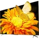 Карта видеозахвата UGREEN MS2130 HDMI 4K с выходом USB и Type-C для стримов - изображение 1