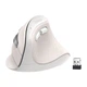 Вертикальная мышь Ugreen MU008MINI BT 2.4G White (85249) - изображение 2