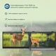 Монитор 15.3" Blackview DCM8Pro IPS 60Hz USB-C (BVDCM8PRO) - изображение 13