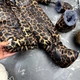 Комбинезон детский BEWARM Kodiaq Leopard 62-68 см (5085L62) - изображение 8
