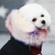 Зимняя парка для собак на меховом подкладе, с капюшоном на меху, синяя S Cheepet (zoo0006176) - изображение 6