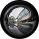 Объектив Qigongjiang для Sony, байонет E, 4 мм F2.8, «рыбий глаз» 225°, для дронов и камер A7M4 ZV-E10 II, A7C2, черный - изображение 2