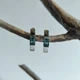 Серебряные серьги с топазом Лондон Блю 1.085ct (2213635) - изображение 2