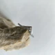 Серебряное кольцо с фианитами, вес изделия 0,74 гр (2209874) - изображение 3