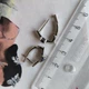 Срібні сережки з натуральним сапфіром 0.889ct, фіанітами (2213499) - зображення 4