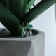 Серебряное кольцо с натуральным агатом 0.263ct, вес изделия 1,44 гр (2213284) - изображение 2