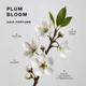 Парфумована вода для волосся Plum Bloom Triology. 30мл - зображення 3