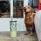 Термокружка Quokka Umi 720 мл со соломинкой Green Tea (40089) - изображение 3