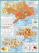 Атлас з географії для 9 класу (Україна і світове господарство) - НУШ (9789664551998) - зображення 2