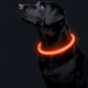Светодиодный LED ошейник Lesko L-18 USB Orange S светящийся водоотталкивающий для собак и котов - изображение 2