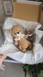 BABY BOX для новонанародженого немовля, Ведмедик для щомісячних фото з ковпачком 12 місяців, плюшева пряжа - зображення 10