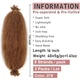 Волосся для плетіння XTREND Springy Afro Twist 16" - изображение 4