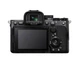 Беззеркальный фотоаппарат Sony Alpha A7 IV + FE 24-105mm F/4 G OSS (ILCE7M4GBDI) - изображение 2