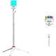 Комплект штатива Ulanzi VL49RGB (белый) с магнитным полноцветным заполняющим светом, портативный светодиодный карманный светильник с двойной температурой для фотосъемки на беззеркальных камерах, смартфонах, портретной съемки в помещении и спецэффектов. - изображение 3