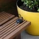 Bluetooth трекер RED5 Wiami Key Finder, сумісний з Apple Find My (iOS) - изображение 5