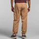 Штаны The North Face M TNF Nylon Easy Pant Almond Butter, размер L - изображение 2