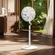 Вентилятор Xiaomi Jipin Smart Fan Touch Edition з пультом (JP-WSLD-CSR) - изображение 4