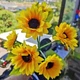 Садовый светильник 26X-103 Подсолнечники на солнечной панели 6 цветов • Декоративный цветок-фонарь для сада, клумбы, двора и дачи 58474 - изображение 4