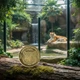 Монета Dobroznak Київський Зоопарк Тигр КиївЗОО (4260) - изображение 4