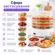 Дегідратор для сушіння продуктів універсальний Zepline ZP-029 800 Вт, сушарка для грибів, ягід та овочів на 5 рівнів - зображення 3